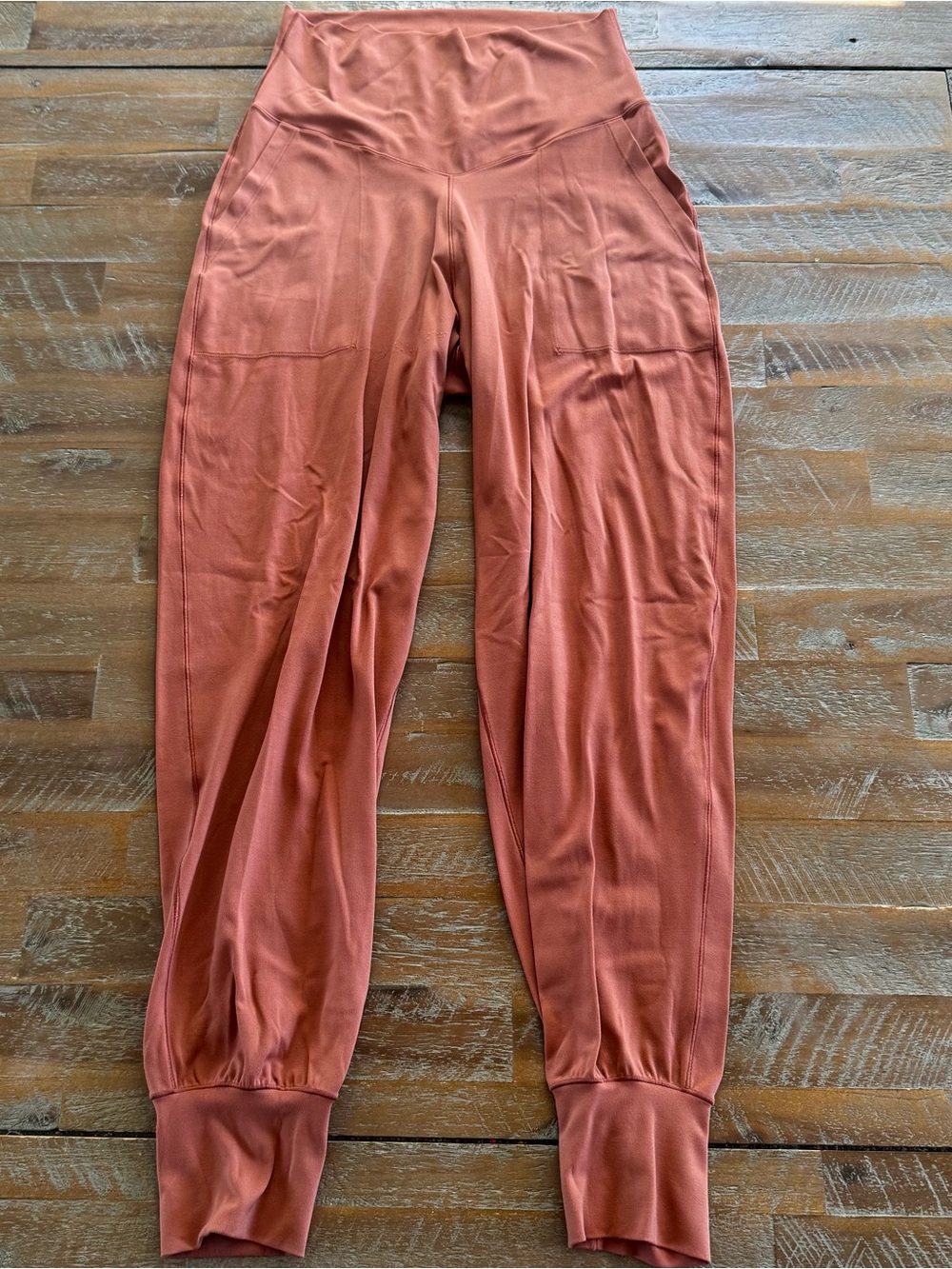 aerie Rust/Copper High-Waist Jogger Leggings